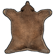 Rug Bear Skin Rug Bear Skin