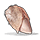 Chicken raw
