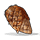 Horse meat cooked