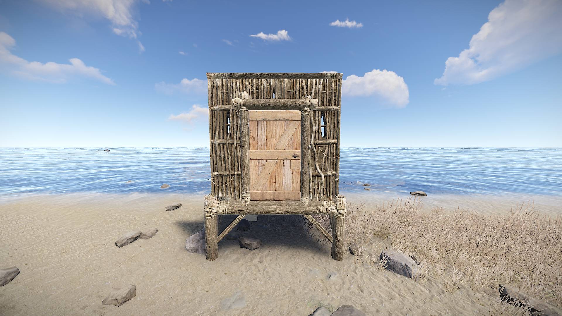 Wooden Door